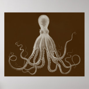 Poster Oversized Octopus Triptych Print in Brown