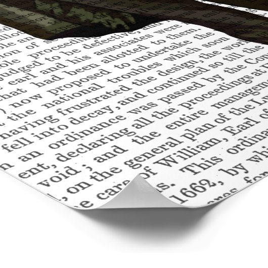 Poster Owl à l'opéra (Coin)