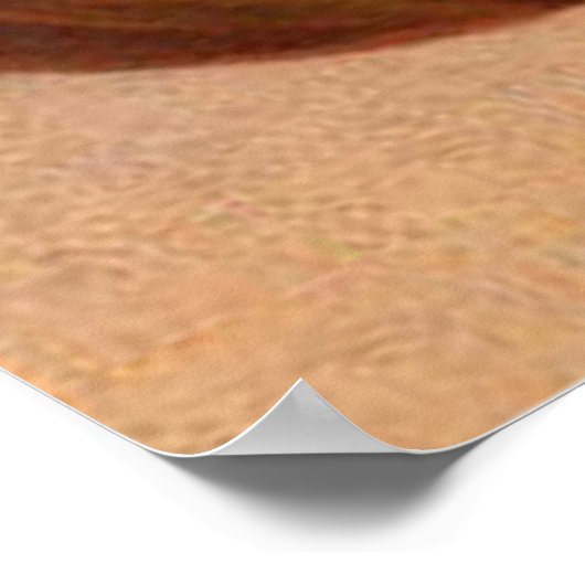 Poster Owl Citrouille Jack-o'-lantern (Coin)