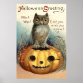 Poster Owl Citrouille Jack-o'-lantern (Devant)