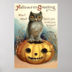 Poster Owl Citrouille Jack-o'-lantern
