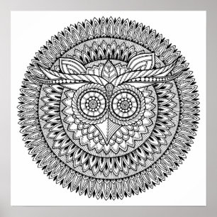 Poster OWL de l'affiche Color It
