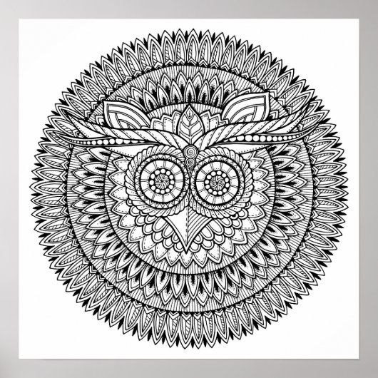 Poster OWL de l'affiche Color It (Devant)