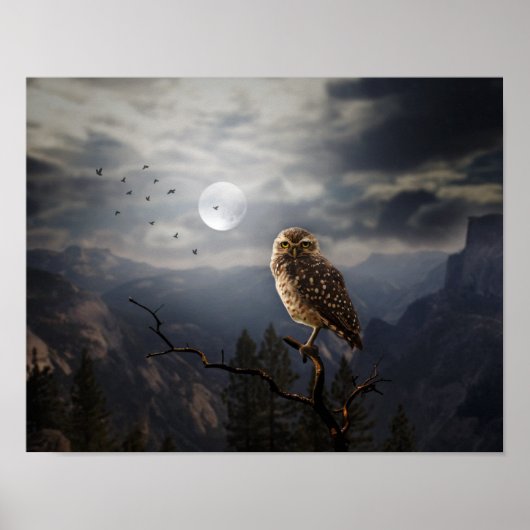 Poster-Owl Poster (Voorkant)
