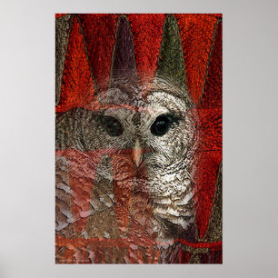 Poster Owl Spirit par Gregory Gallo