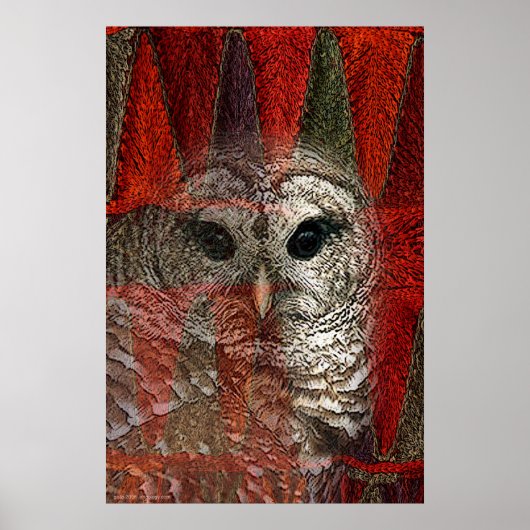 Poster Owl Spirit par Gregory Gallo (Devant)