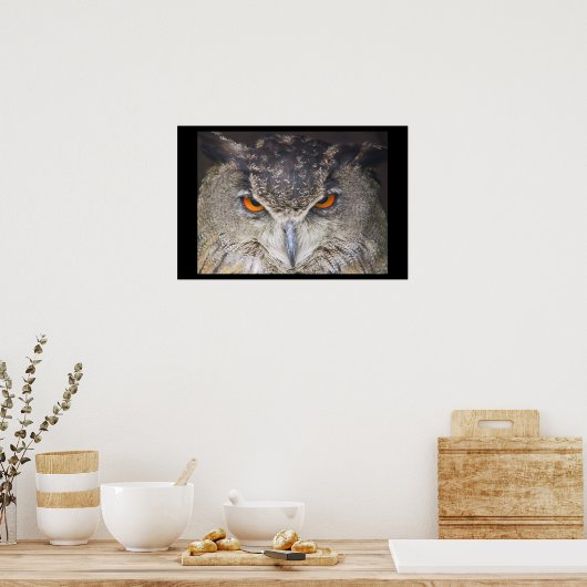 Poster Owl Uil (Cuisine)