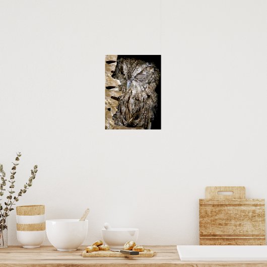 Poster Owl Wink (Cuisine)
