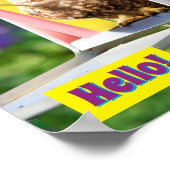 Poster Owl With Flower In Mailbox (Coin)