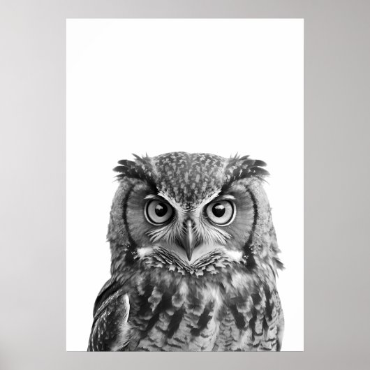 Poster Owl Woodland Modern Portrait noir blanc (Devant)
