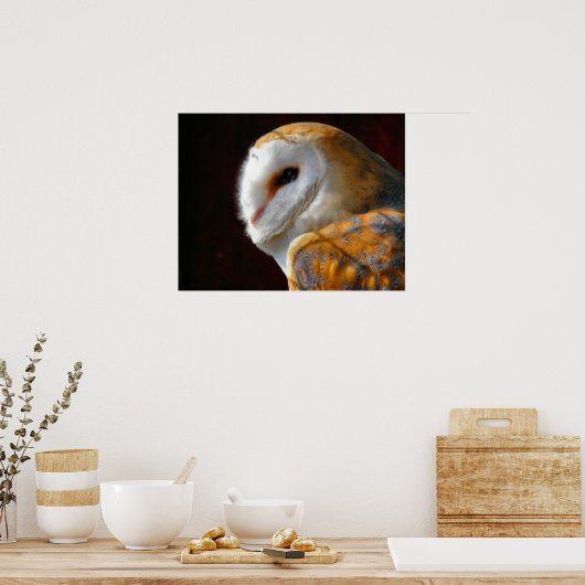 POSTER OWLS (Cuisine)