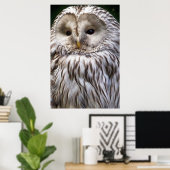 POSTER OWLS (Bureau à domicile)