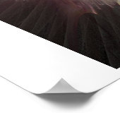 Poster Oxalis (Coin)