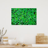 Poster Oxalis des bois au printemps (Cuisine)