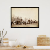 Poster Oxen Freighting In the Black Hills SD 1887 (Cuisine)