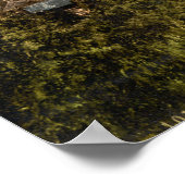 Poster Oxford, Oxfordshire, Angleterre (Coin)