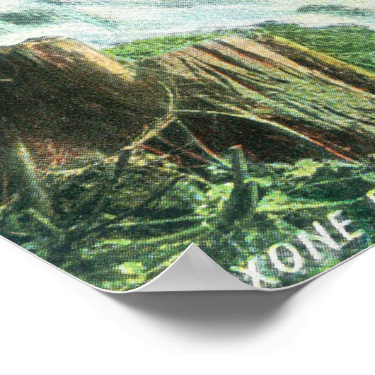 Poster Oxone Falls et Spring ViewShasta Springs, CA (Coin)