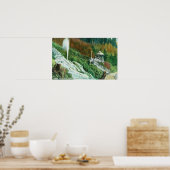 Poster Oxone Falls et Spring ViewShasta Springs, CA (Cuisine)