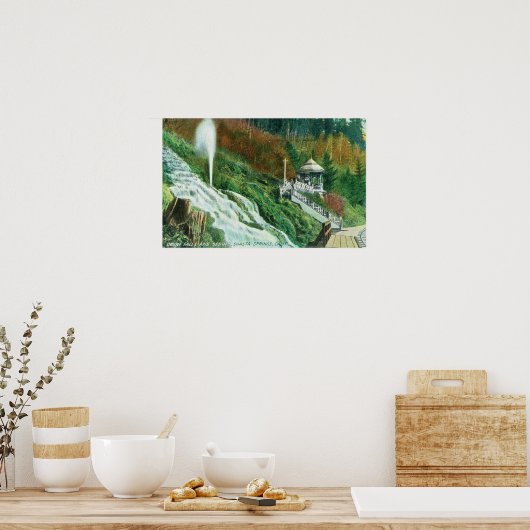 Poster Oxone Falls et Spring ViewShasta Springs, CA (Cuisine)