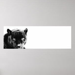 Poster Oyes Jaguar Pop Art