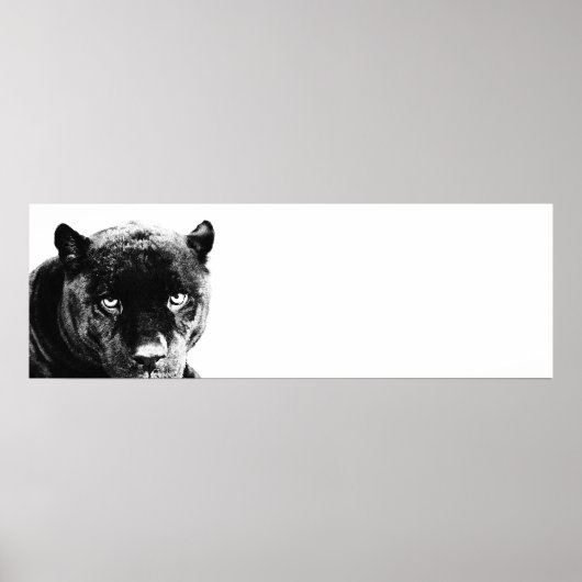 Poster Oyes Jaguar Pop Art (Devant)