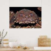 Poster Oyster Toad Portrait (Cuisine)