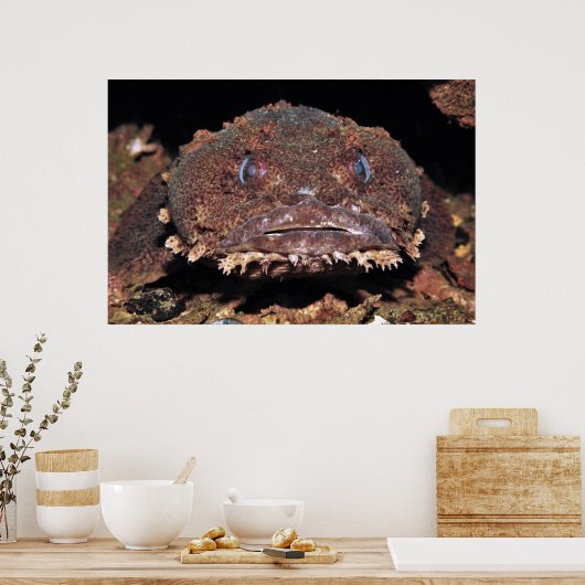 Poster Oyster Toad Portrait (Cuisine)