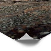 Poster Ozarks 1 (Coin)