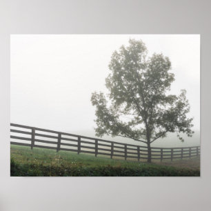 Poster Ozarks Country Fog