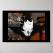 Poster ozymandias (Devant)