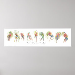Poster P3, Neuf perroquets, aquarelle par Dennis Boyce