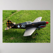Poster P-40 Warbird (Devant)