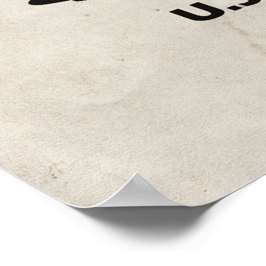 Poster P-51 Mustang (Coin)