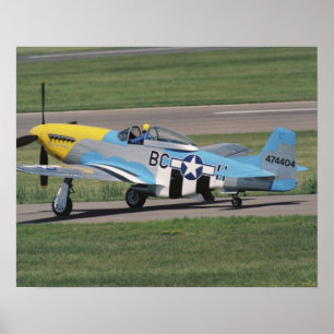 Poster P-51 nord-américain D brillant Donna sur
