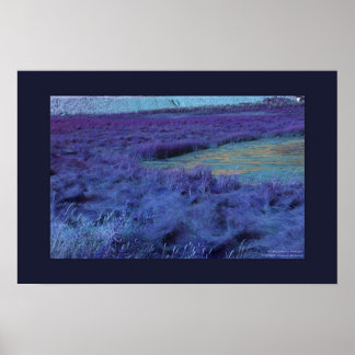 Poster P ci-dessous dans l'Indigo