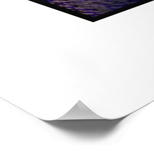 Poster PA Gros animaux de jeu (Coin)