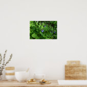 Poster Paars Flowers (Keuken)