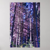 poster paarse bossen (Voorkant)