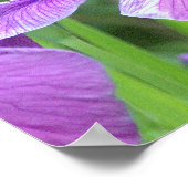 poster "PAARSE IRIS" (Hoek)