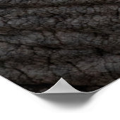 Poster Pachyderme de texture de peau d'éléphant (Coin)
