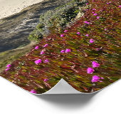 Poster Pacific Coast (Coin)