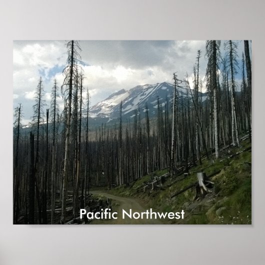 Poster Pacific Northwest Back Road Beauté (Devant)