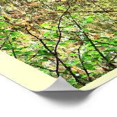 Poster Pacific Northwest Forest Isaiah 41:10 Imprimer (Coin)