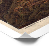 Poster Pacifique Nord Yellowstone 1895 (Coin)