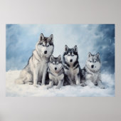 Poster Pack Sibérien Husky (Devant)