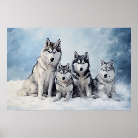 Poster Pack Sibérien Husky (Devant)