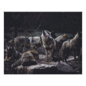 Poster Pack Wolf (Devant)