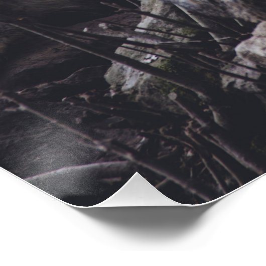 Poster Pack Wolf (Coin)