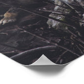 Poster Pack Wolf (Coin)