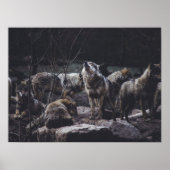 Poster Pack Wolf (Devant)